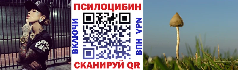 где продают наркотики  Волжский  Псилоцибиновые грибы мухоморы 